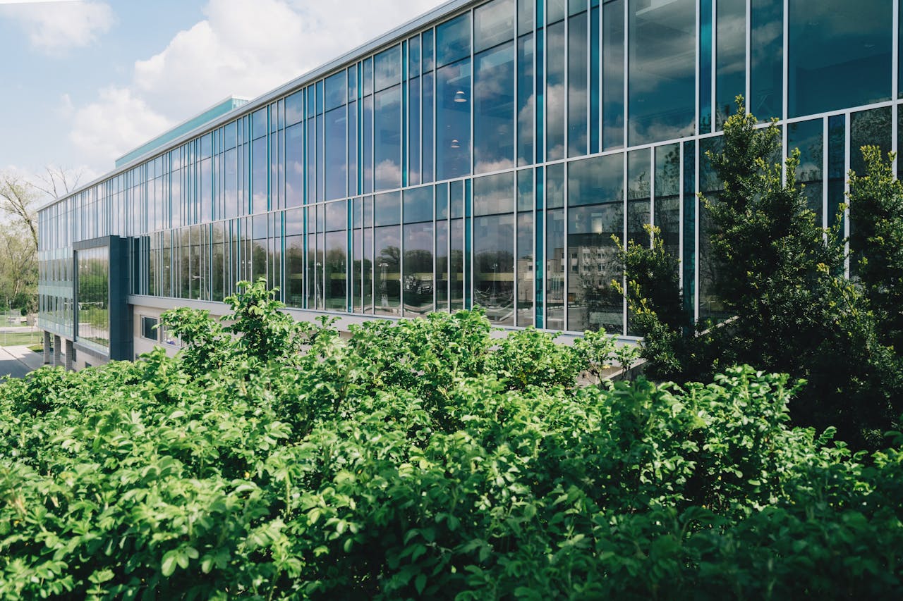 Corporate Sustainability Is Critical for Long Term Business Success