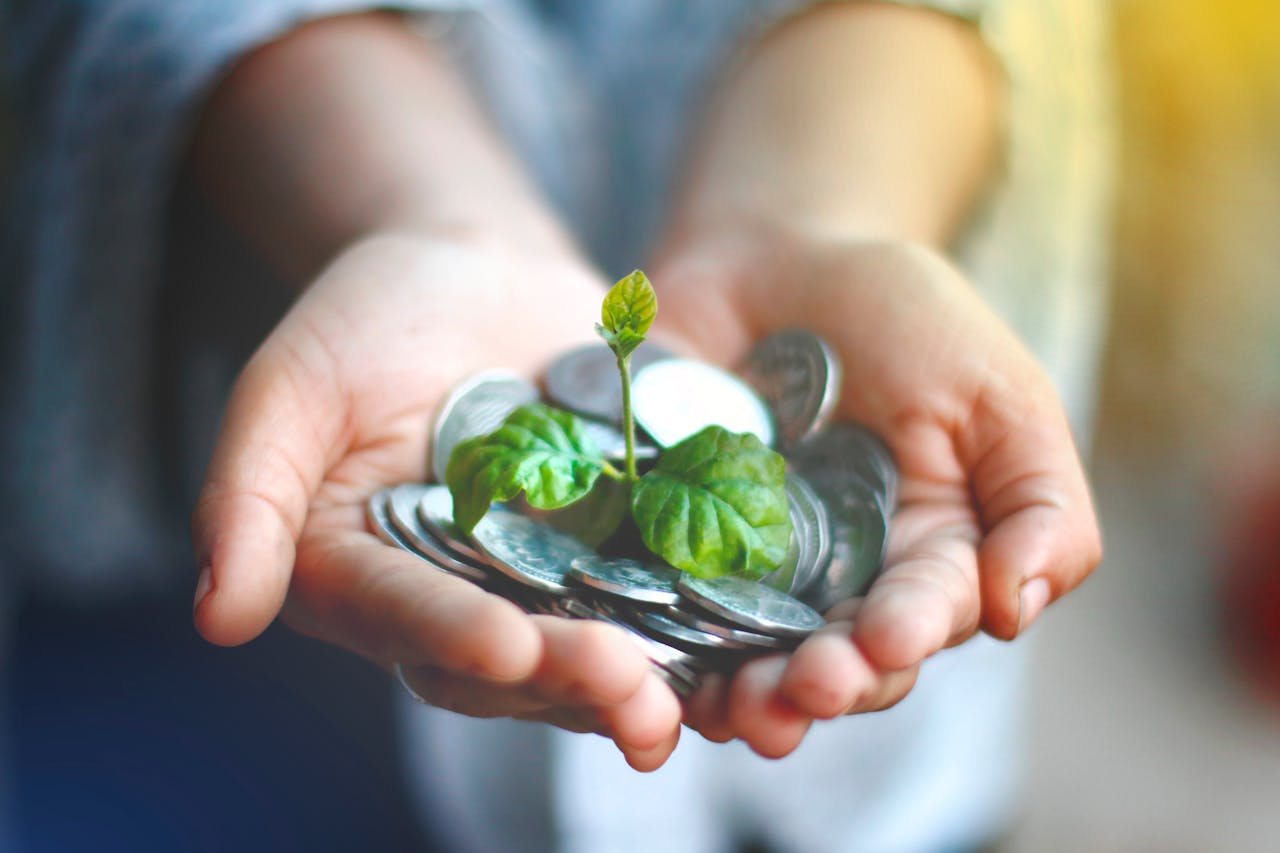 Implementing Sustainable Finance