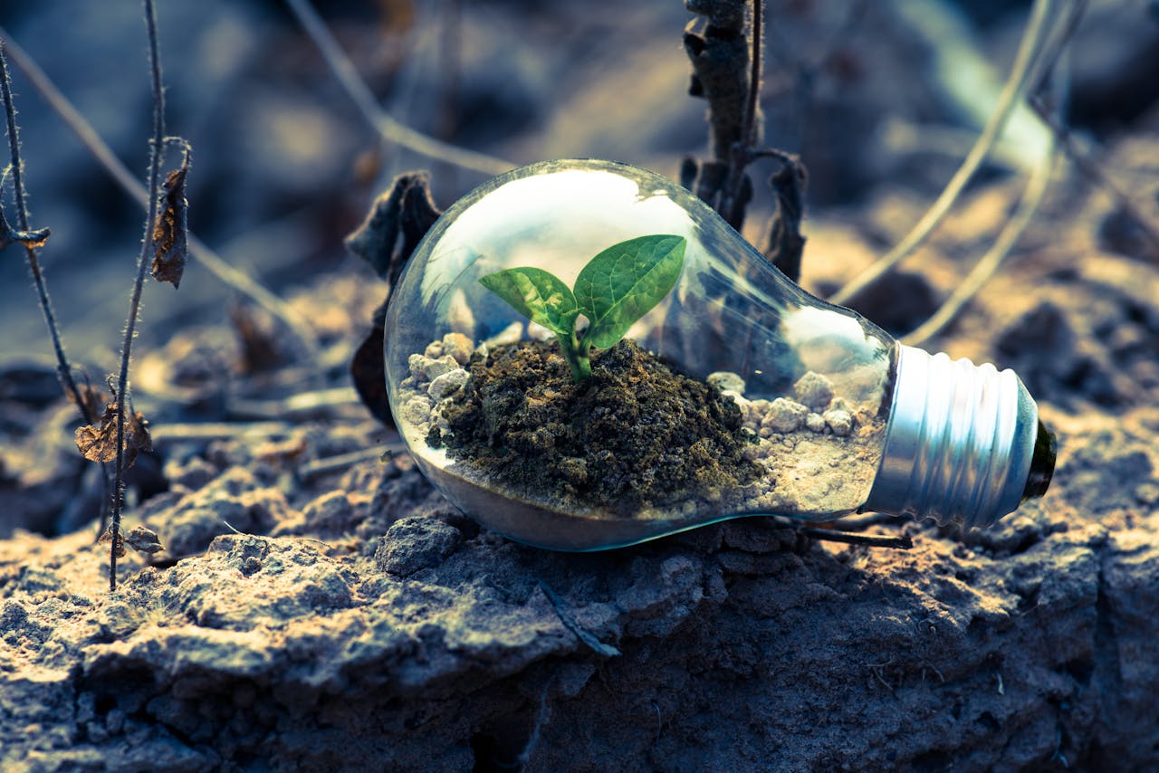 Renewable Energy Engineering in Sustainable Development