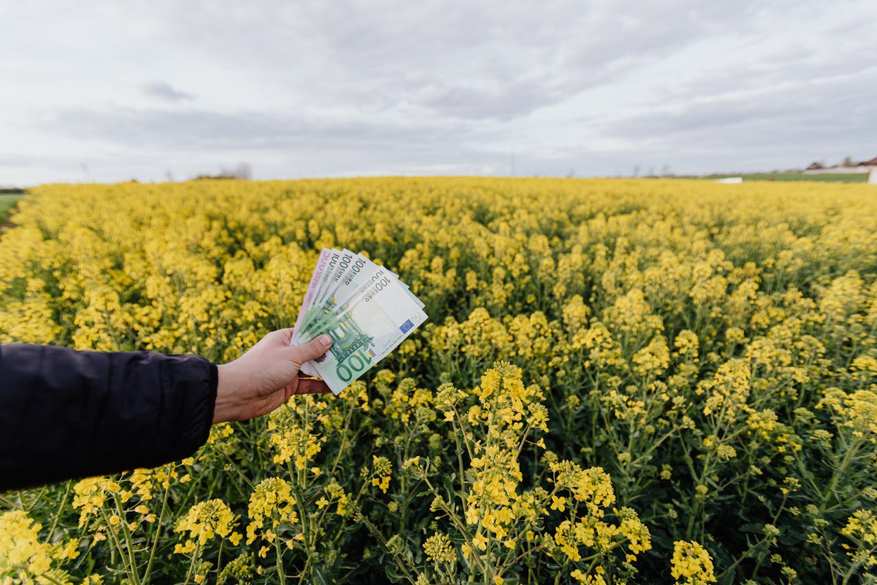 Sustainable Finance Support Green Energy Projects