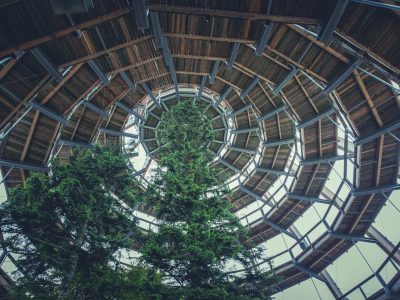 How Does LEED Certification Benefit Green Building Projects