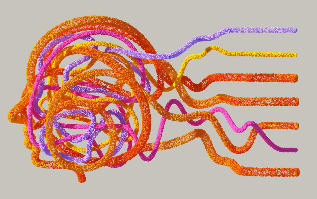 The Neuroscience of Learning and How it Affects Training